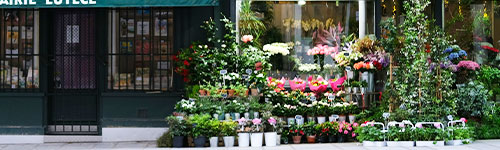 <strong>Commerçants / Artisans</strong><br>(commerces, créations, distribution, ...)